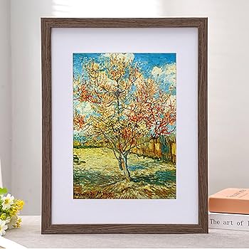 71pi3Cka-ZL._AC_UF350,