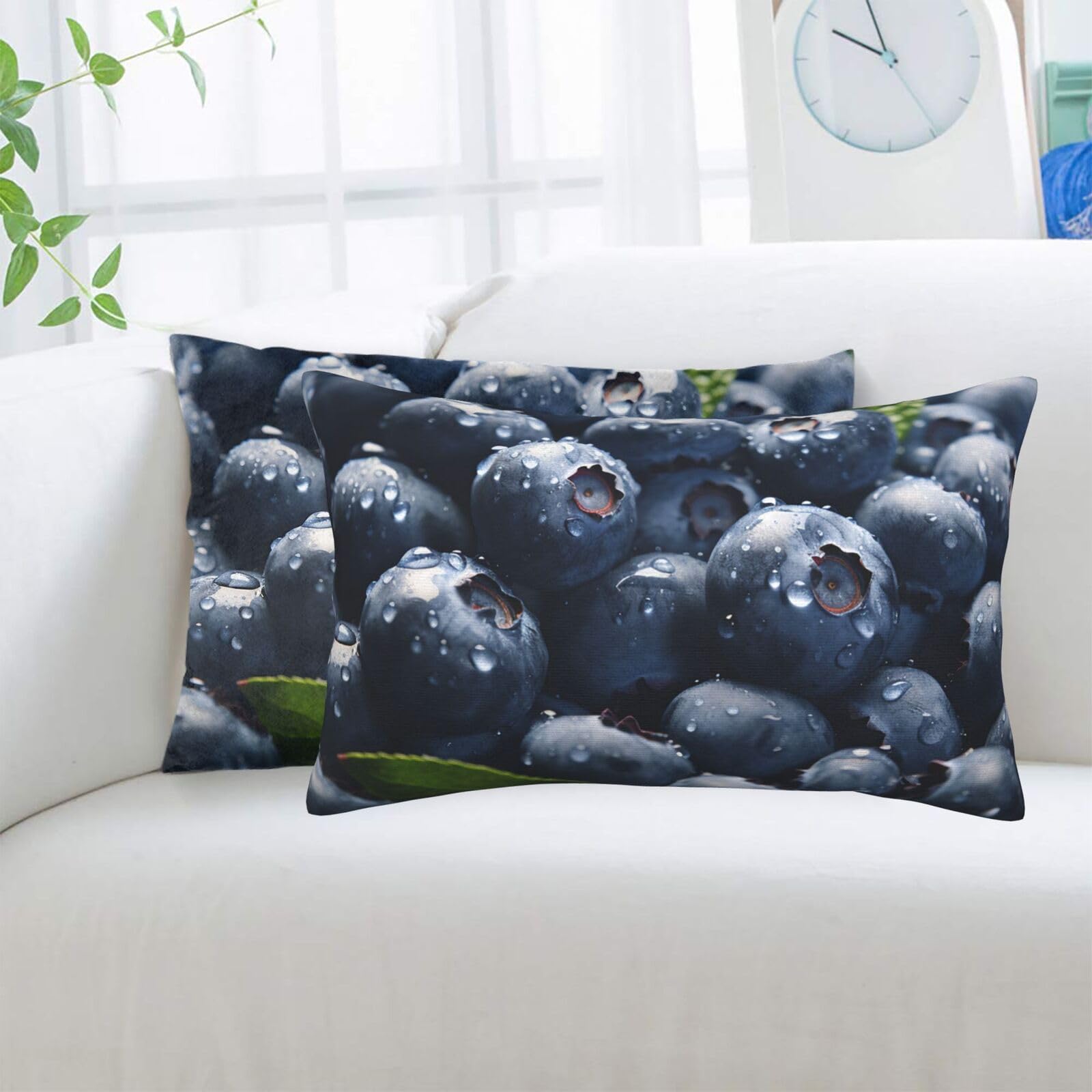 Delicious Blueberry Standard Pillowcases Sets of 2, Ultra Soft Microfiber Plush Pillow Cases 14"X20" Comfort Decorative Throw Pillow Cover with Hidden Zipper for Bedroom, Sofa, Couch