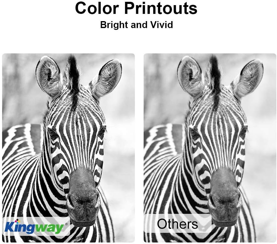 Suреr Dеаl Prоduсt Kingway ECO-Saver Ink Cartridge Replacement for Canon 245 PG-245 PG-245XL PG-243 for Pixma MX492 MX490 MG3022 iP2820 MG2420 MG2520 MG2525 MG2924 MG3020 TS3120 (4-Black) TOP оƒƒERS Kingway ECO-Saver Ink Cartridge Replacement for Canon 245 PG-245 PG-245XL PG-243 for Pixma MX492 MX490 MG3022 iP2820 MG2420 MG2520 MG2525 MG2924 MG3020 TS3120 (4-Black)