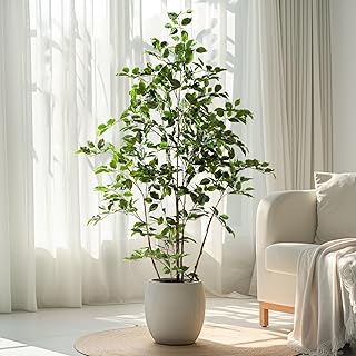Artificial Ficus Tree Indoor 5ft, Large Potted Faux Tree with Realistic ...