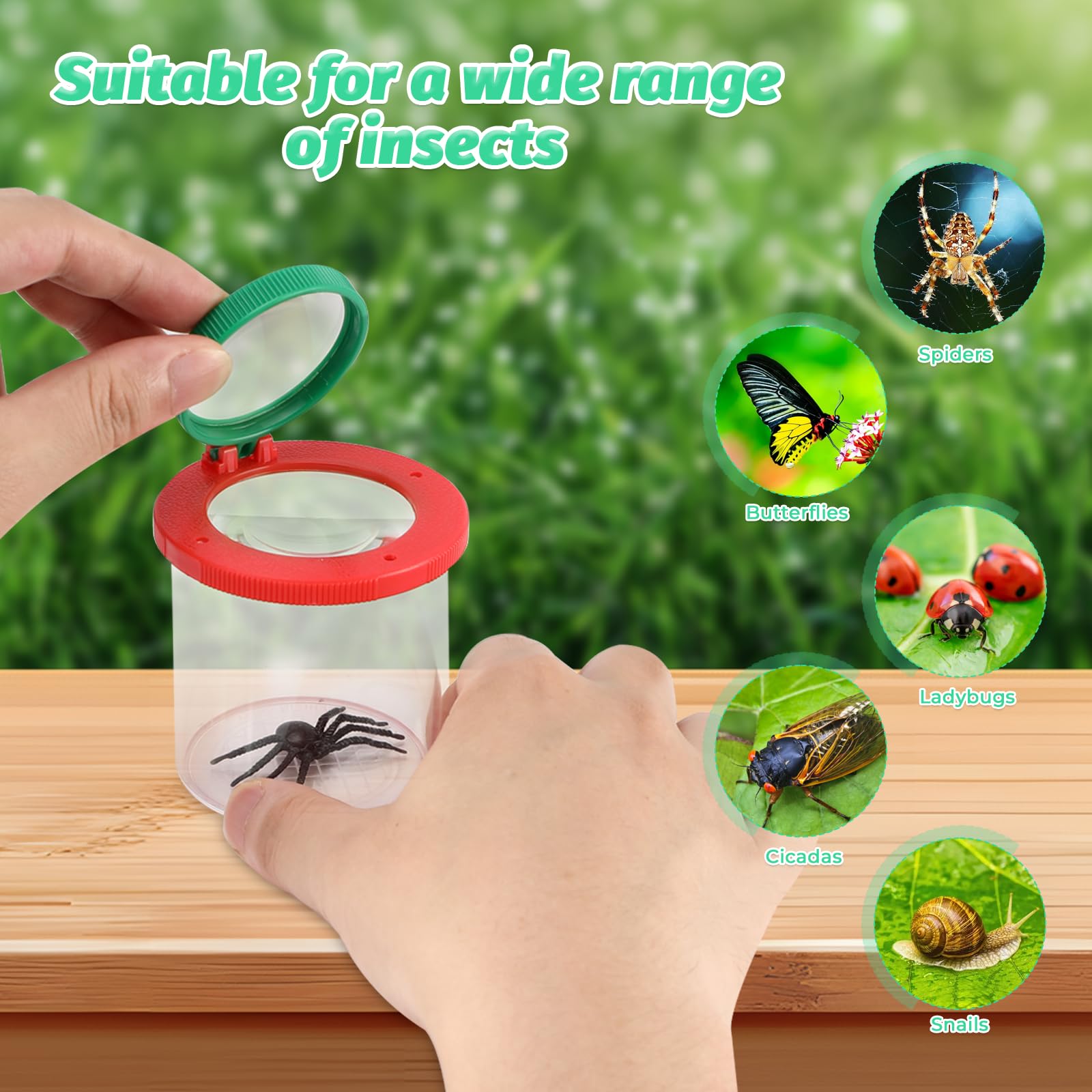 Zikenis 2 Pezzi Scatola d'Ingrandimento per Insetti,acchiappa-insetti,lente di ingrandimento per bambini,Scatola di osservazione degli,per attività all'aperto,esplorazione della natura e della scienza
