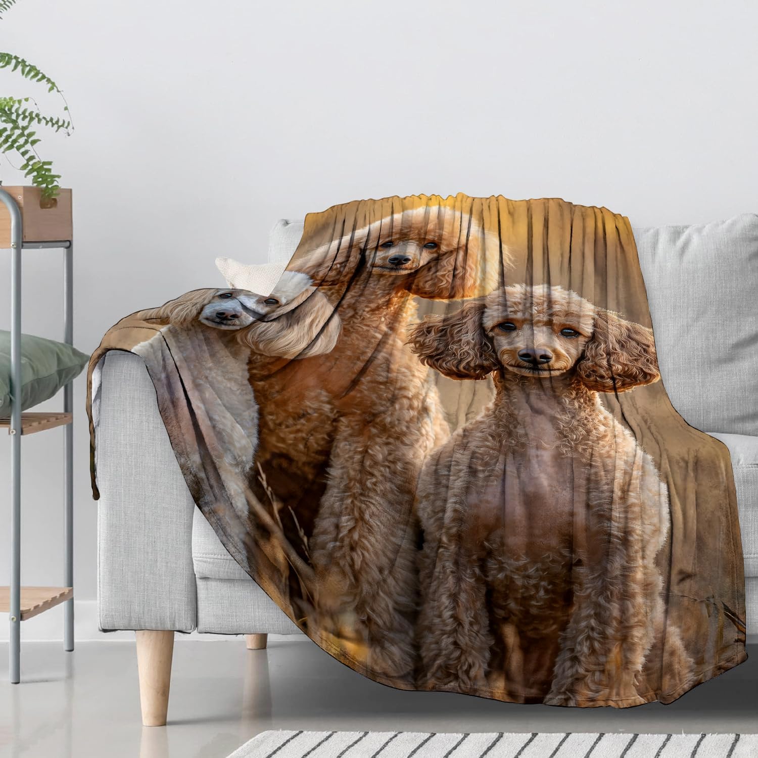 Realistic Poodle Flannel Throw Blanket 50x60 Inch, Elegant Dog in Warm Sunset Light Blankets Soft Cozy Fleece Throws for Pet Lover Bed Sofa Dorm Living Room Puppy Home Decor Gifts