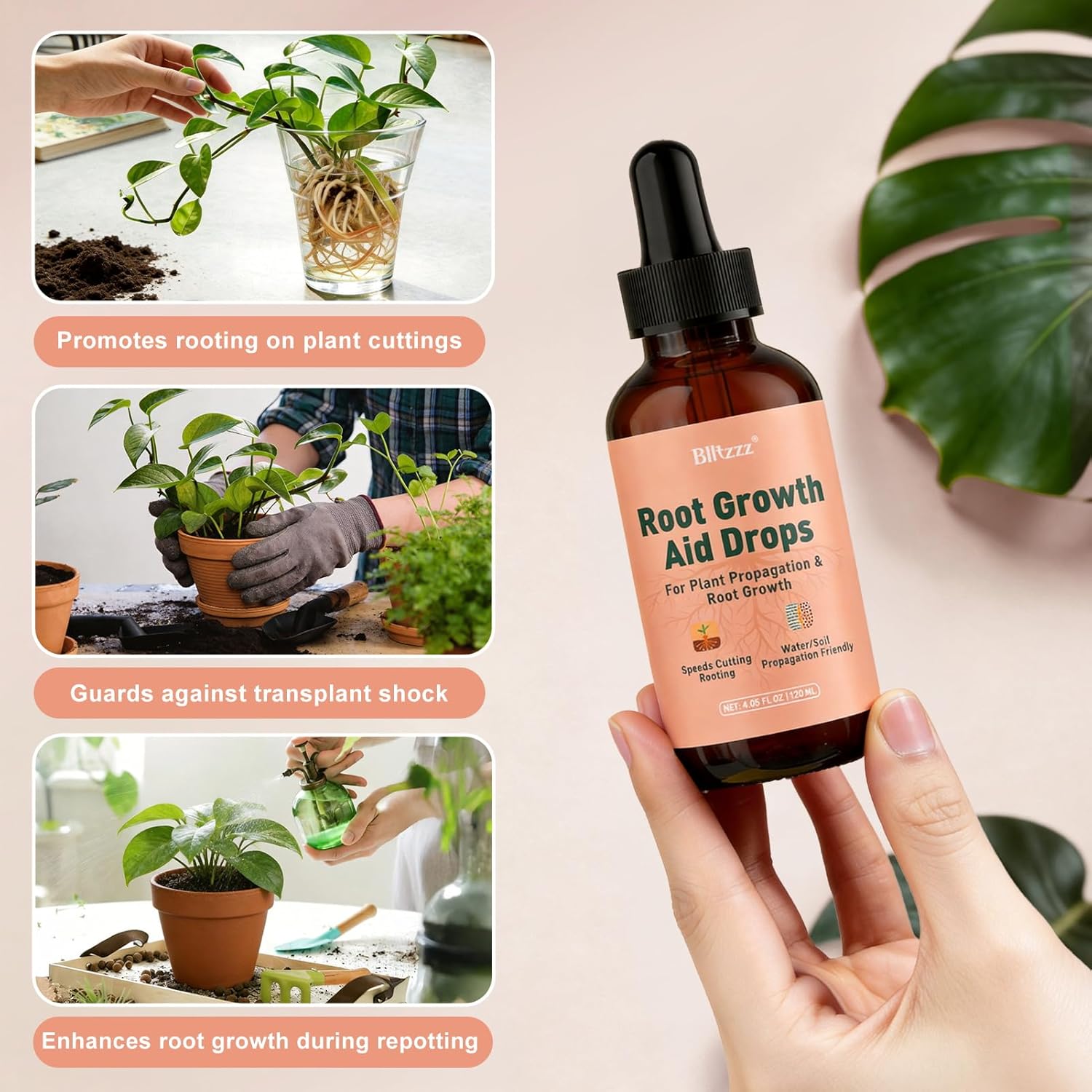 Root Drops - Liquid Rooting Hormone for Cuttings- Fast Growth Propagation Drops | Less Shock in Water/Soil/LECA/Moss | Fits Pothos, Monstera, Philodendron & All Houseplants (4 oz) (2)