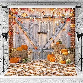 AIIKES 10X10FT Fall Thanksgiving Backdrop Autumn Pumpkin Harvest Barn Door Photography Backdrop Light Post Maple Leaves Haystack Thanksgiving Party Decorations Photo Studio Prop 12-457
