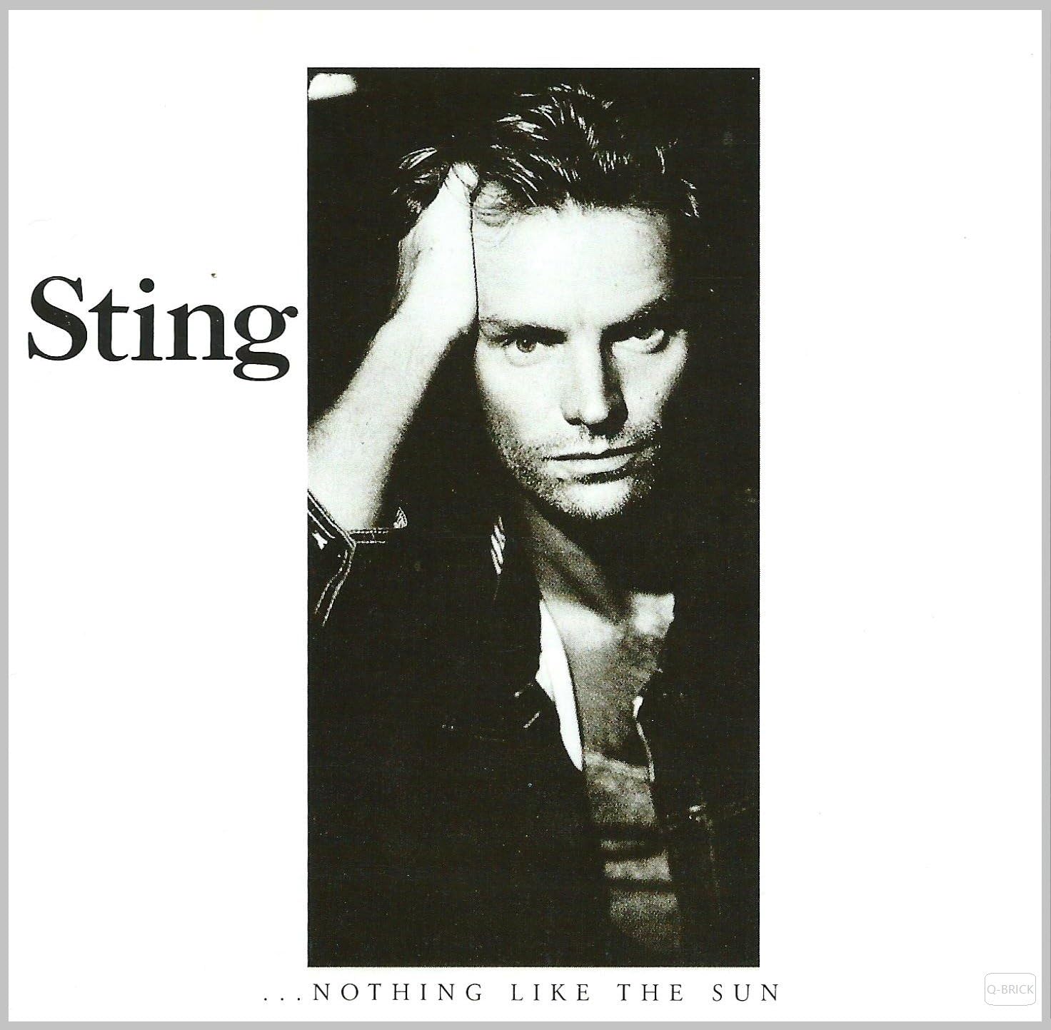 Sting ...Nothing Like The Sun