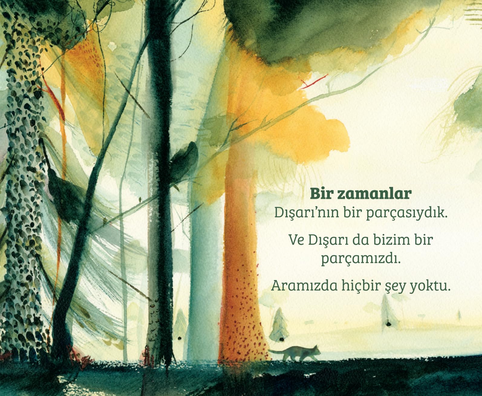 Dış Dünya