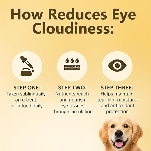 Miniatura 4 de Fórmula de visión avanzada para perros  Suplemento líquido para el apoyo de los ojos y la visión  Apoya la visión clara y reduce los ojos turbios y