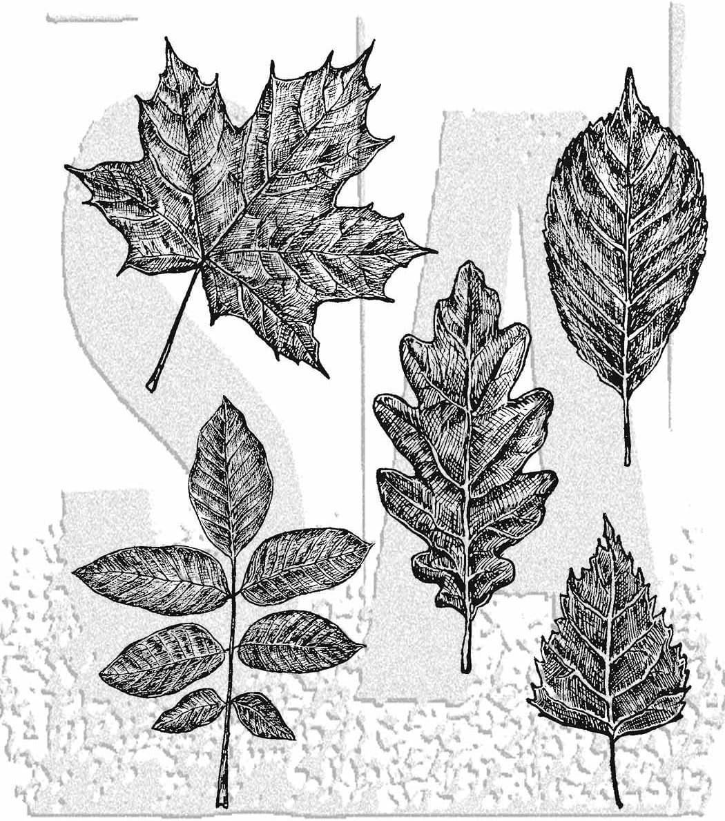 Stampers Anonymous - Tim Holtz - Sketchy Leaves - CMS467