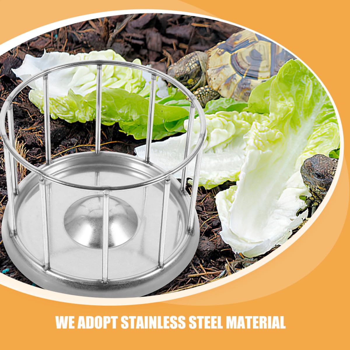 Artibetter Gamelle Surface Lisse Acier Inoxydable Argenté Terrarium en pour Mangeoire Reptile Adaptée pour Nourriture Tortue Terrestre et Animaux de Compagnie