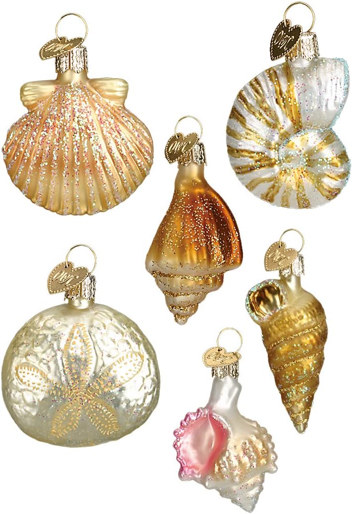 Old World Christmas Hanging Ornament - Assorted Sea Shell Set