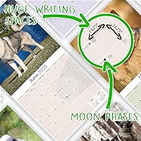 Vista 675 de Razas de Perros 2017