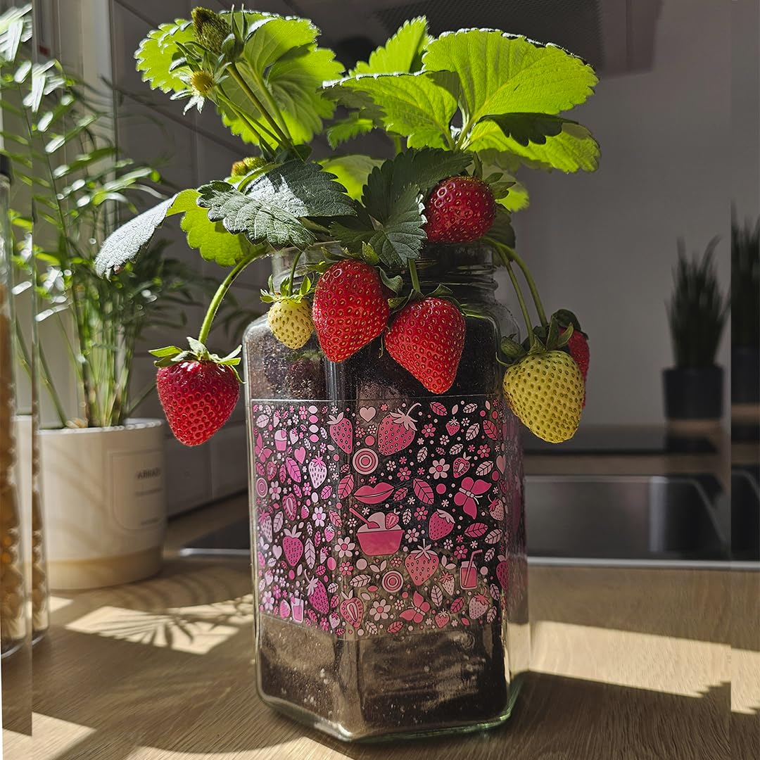 Kit Cultivo Fresas Interior – Maceta con Semillas, Sustrato, Fertilizante y Pulverizador – Regalo Original para Casa y Cocina – Garden Pocket