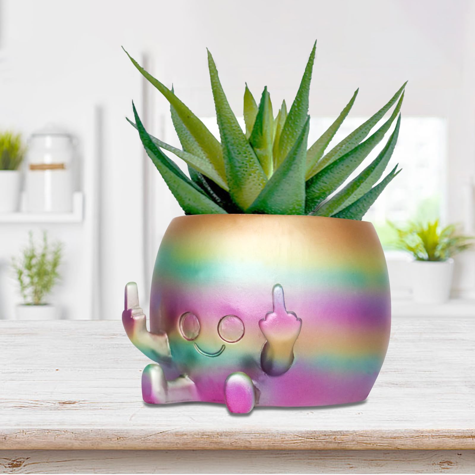 Smily Face Planter Pot with Middle Fingers Up Cute Resin Flower Head Planters for Indoor Outdoor Unique Succulent Pots Gift IdeaI for Mother and Appreciation Christmas (Rainbow)