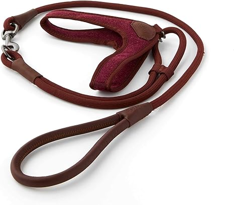 reddy dog harness amazon