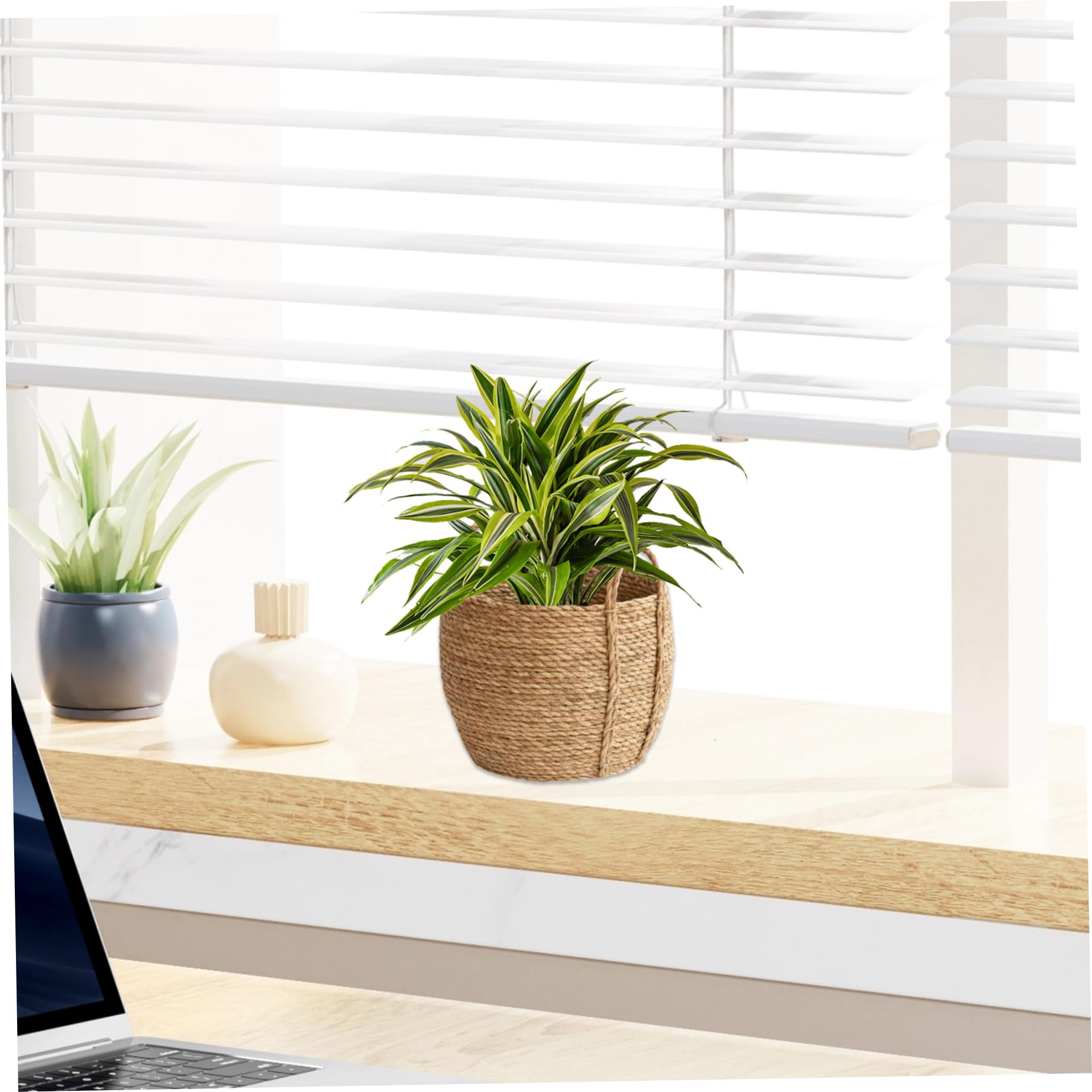 Cesta Para Plantas Cesta De Pasto Marino Maceta Tejida Rústica Con Mango Resistente Cesta De Almacenamiento Decorativa Natural Cesta De Picnic De Mimbre Para Decoración Del Hogar Del Hotel S