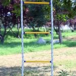Évacuateur d'incendie,16 FT Échelle d'incendie 2 Histoire pour Fenêtre, Évacuateur d'urgence résistant aux flammes Ladder rapide à déployer Sturdy et fort portable et réutilisable