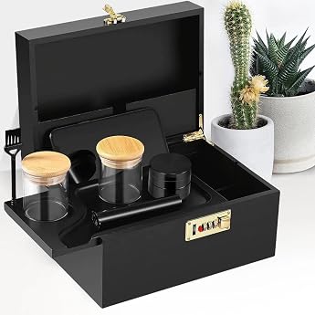 WildFun Bambusbox mit Zahlenschloss Premium-Verschluss-Organisator mit Tablett Dekorative Home Box Aufbewahrungsbox Set mit Tablett Glasbeh lter Pinsel