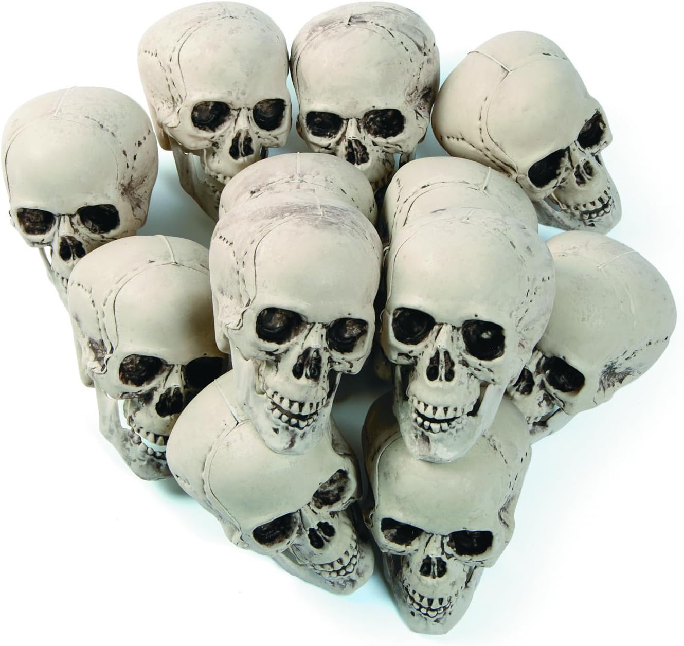 Fun Express White Plastic Realistic Skeleton Skulls 5 Inch for Halloween Party, Bar and Table Decorations, 12 Pack