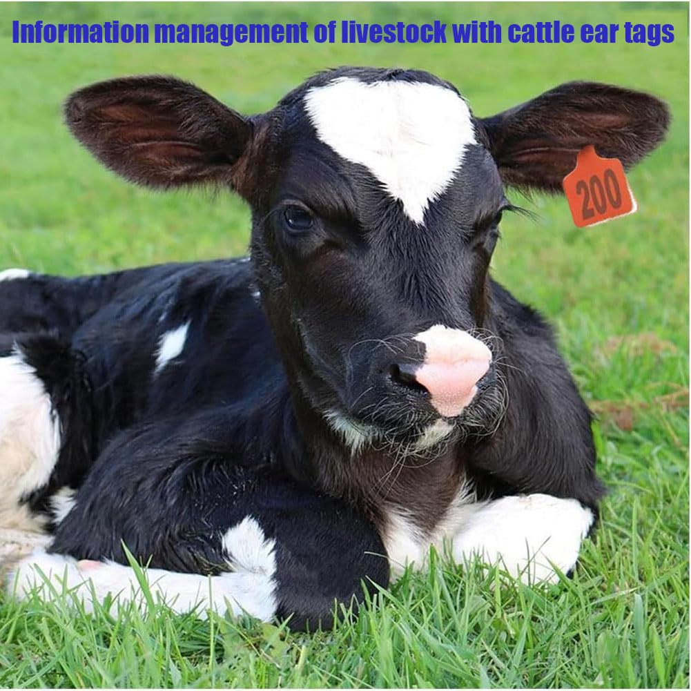 Marchi auricolari for l'identificazione degli animali in PE