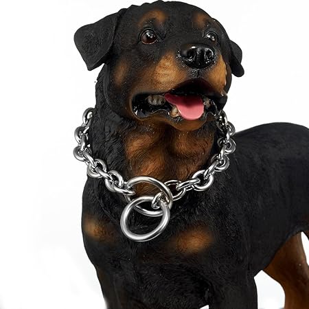 dog accessories amazon