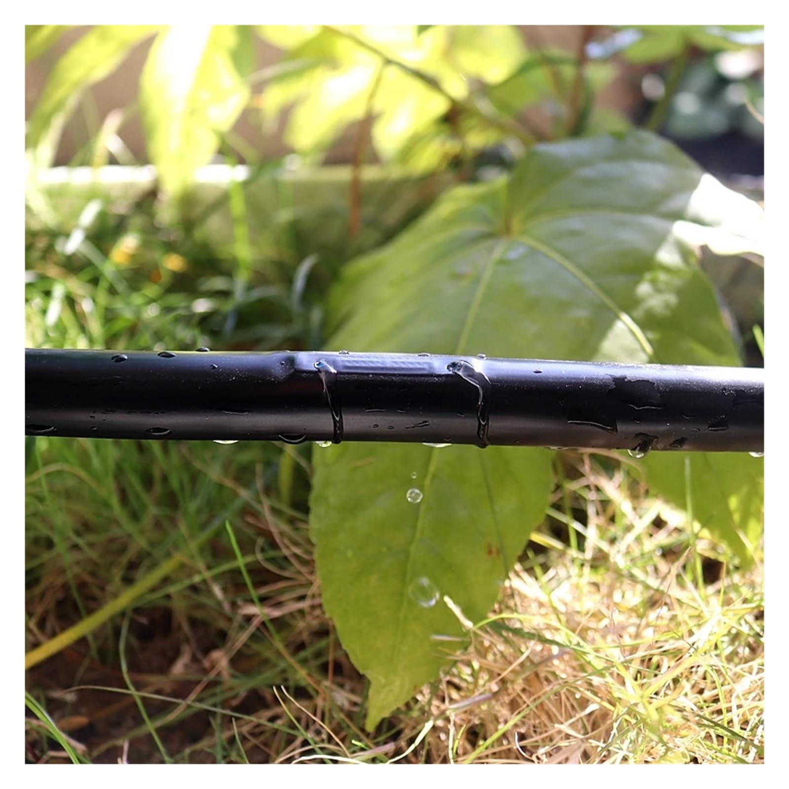 De microirrigación de 16 mm con dos orificios, cinta de goteo, espacio entre 10 y 50 cm, 0,2 mm de grosor, for riego de invernaderos y granjas.(Space 20cm,50m)