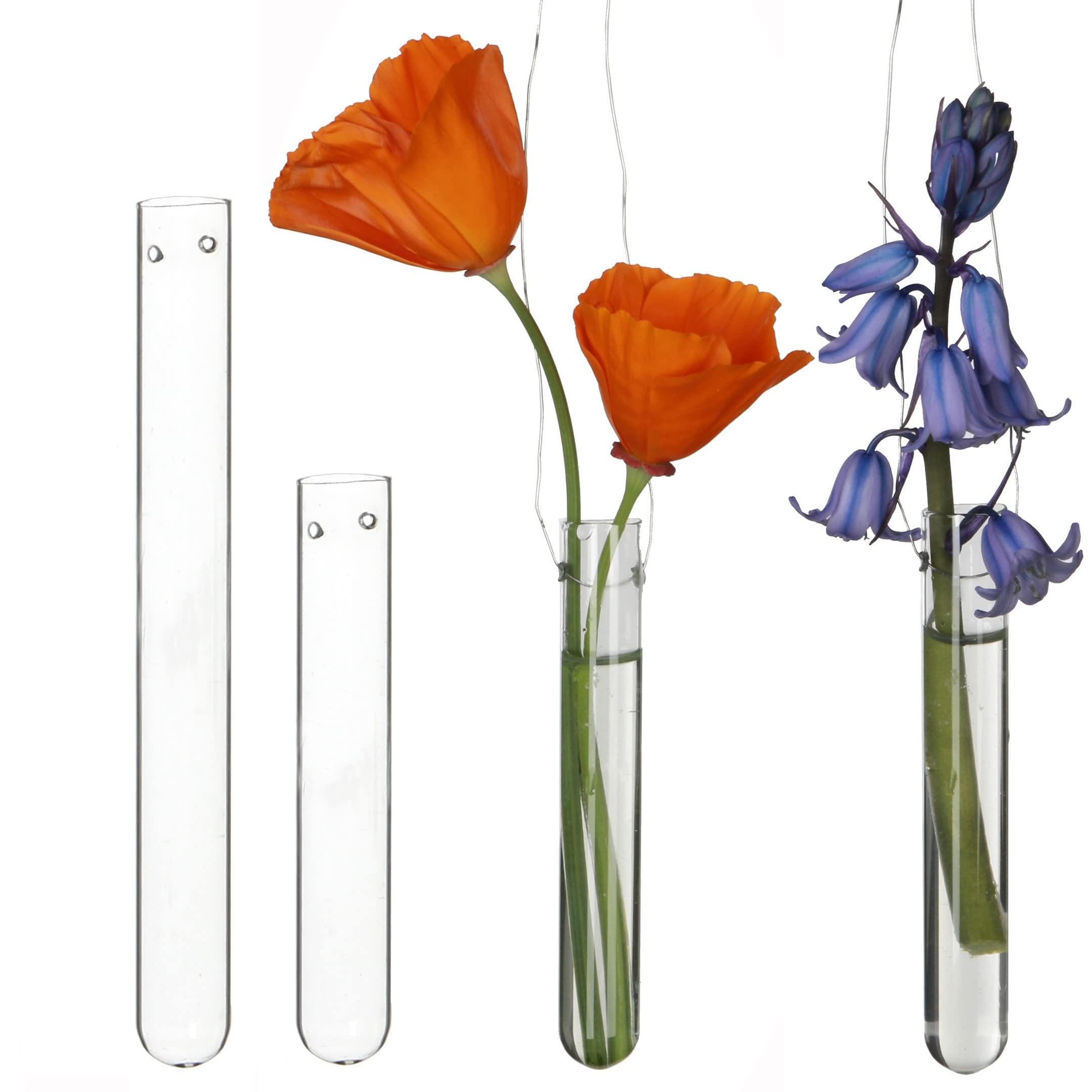 12 Tubos de Ensayo para Colgar Flores de Cristal - Jarrón Con Agujero, Decoración de Ventana y Bodas - Juego de Jarrones Colgantes (10 cm)