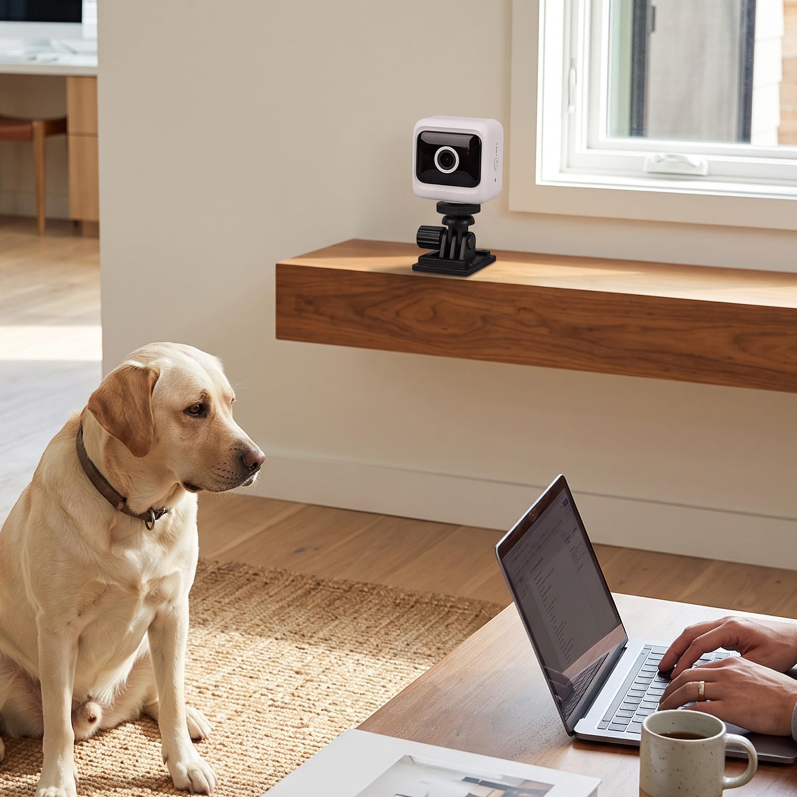 Dpofirs Telecamera di Sicurezza Interna (WHITE) | 1080P HD con APP di Rilevamento del Movimento WiFi da 2,4 GHz Visione Notturna Grandangolare a 130° Remota per il