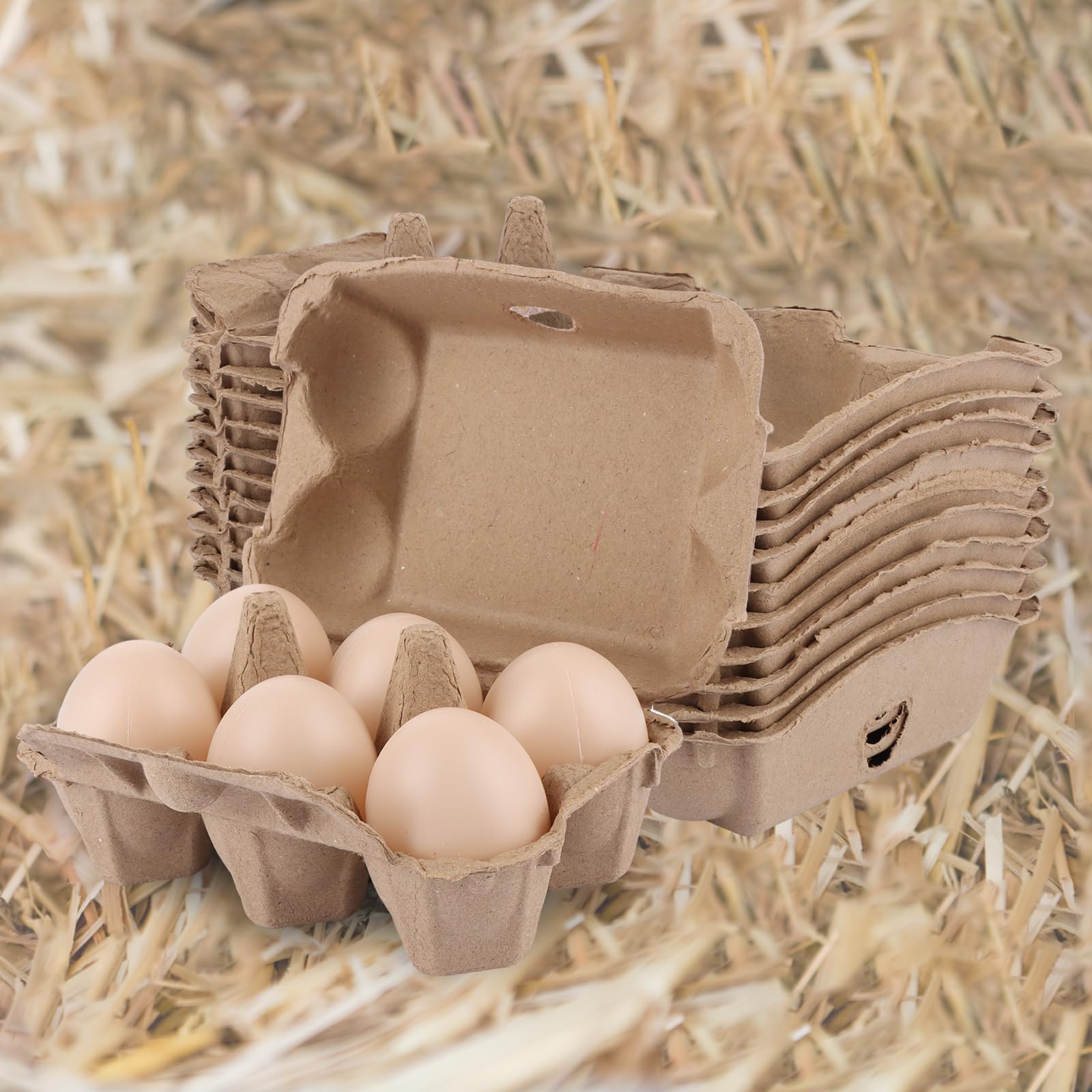 SHUESS 50 recipientes para huevos con tapa, 6 rejillas, de cartón, hueveras, caja para huevos, cartón para huevos de gallina, para huevos de Pascua