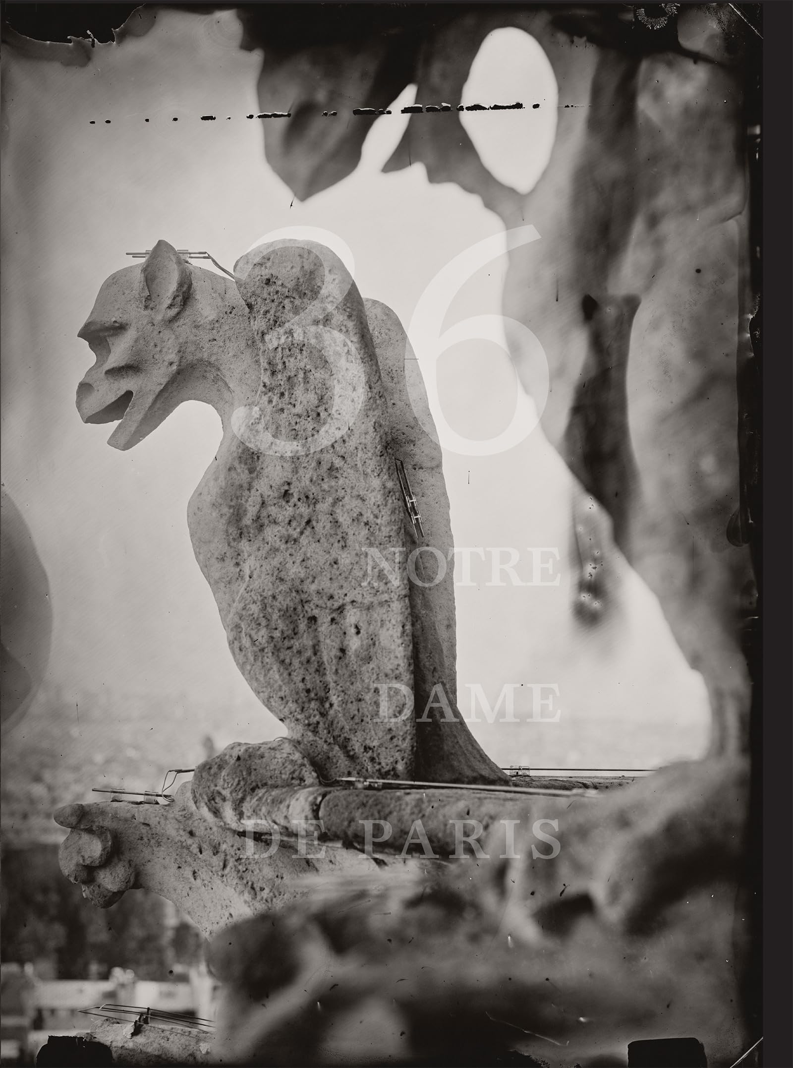 Tomas van Houtryve 36 Views of Notre Dame /anglais