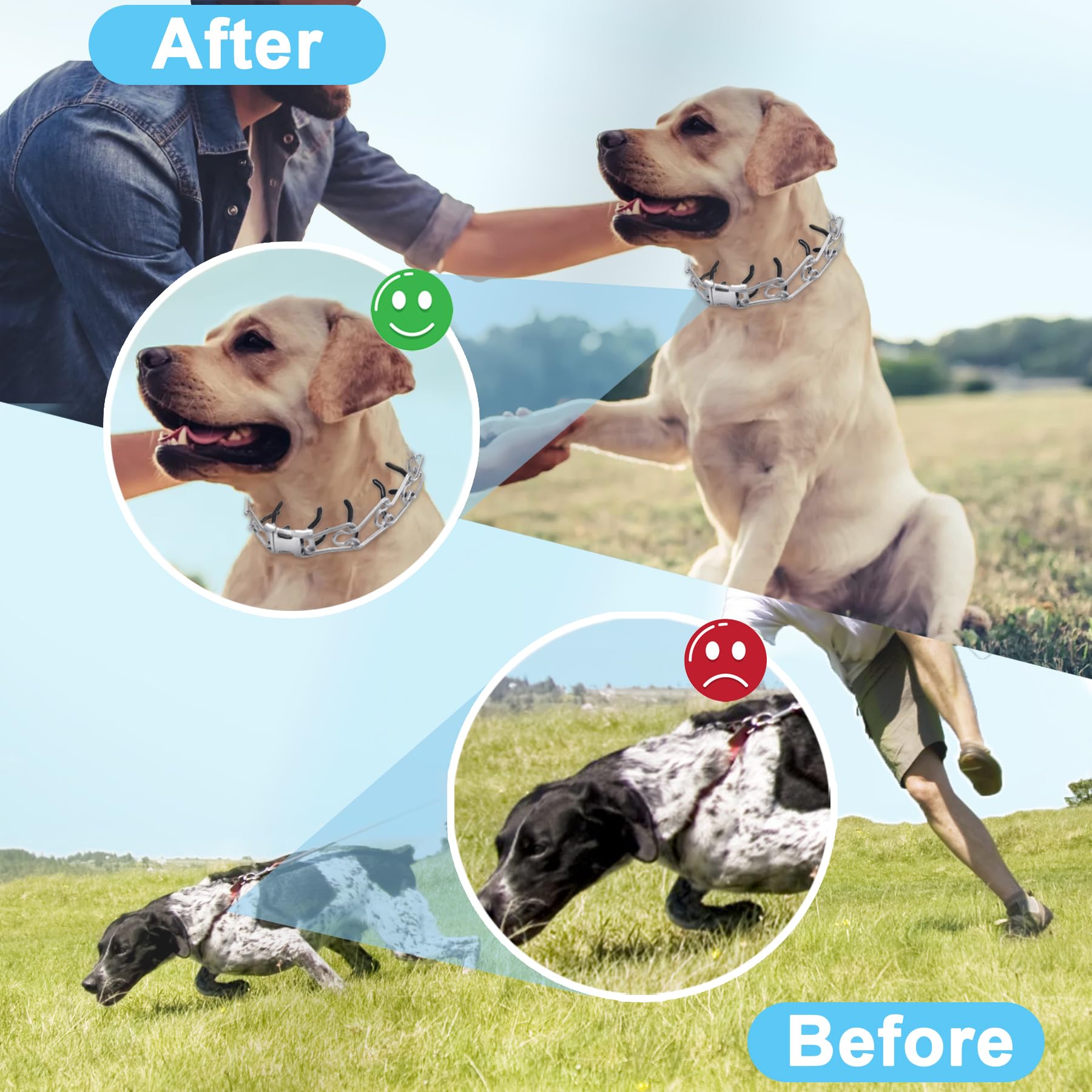 Prong Training Collar for Dogs, Adjustable Dog Training Pinch Collar with Quick Release Buckle, No Pull Collar for Small Medium Large Dogs, Extra Link and Caps (M/L(17-21