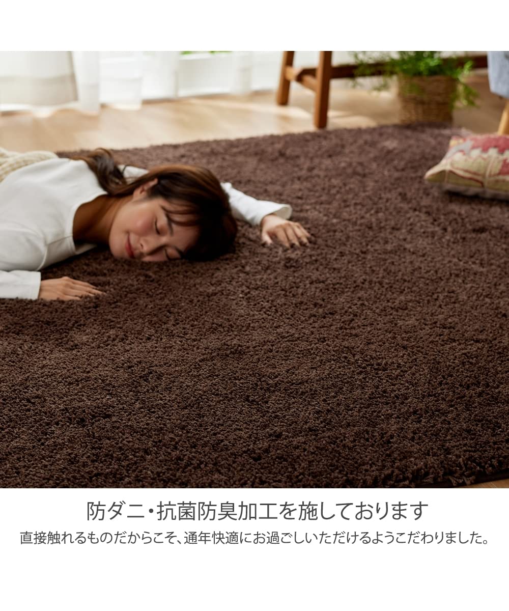 Amazon | [ニッセン] ラグ 洗える 防ダニ 抗菌防臭 ふわふわ オール