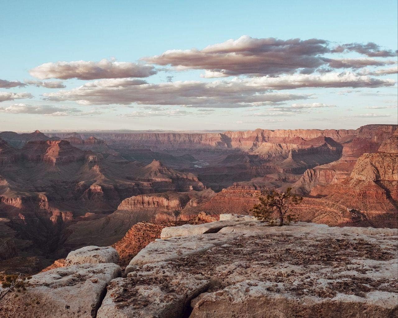 rocce per dipingere per i bambini