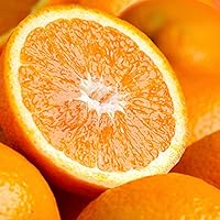 Vista 3 de A Gift Inside Trío Frutal Deluxe Cesta de Regalo de Frutas