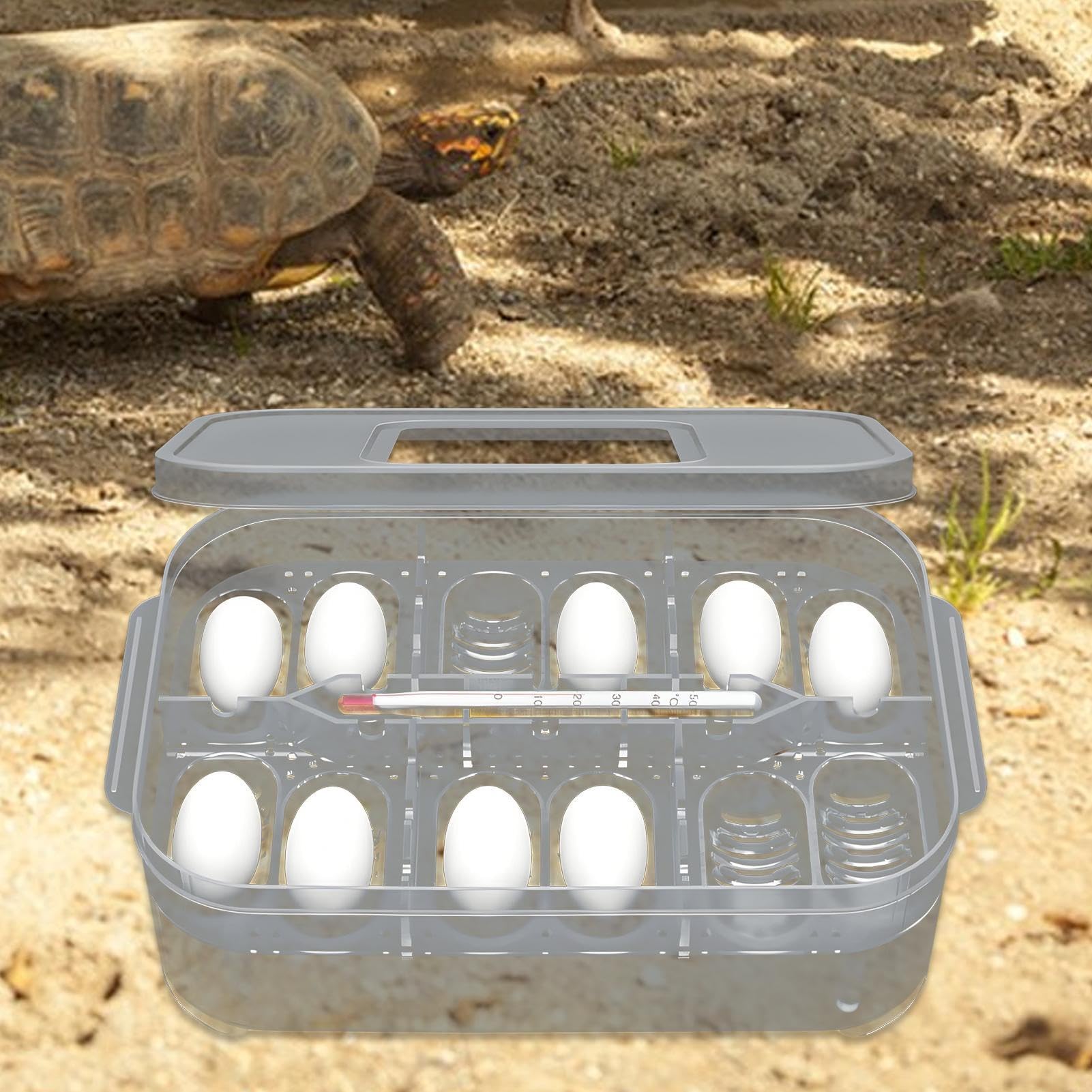 Inkubator für Schildkröten, Inkubationsbox für Reptilien mit mehreren Fächern, transparente Brutschale für Geckos, Eidechsen, Schlangen und mehr