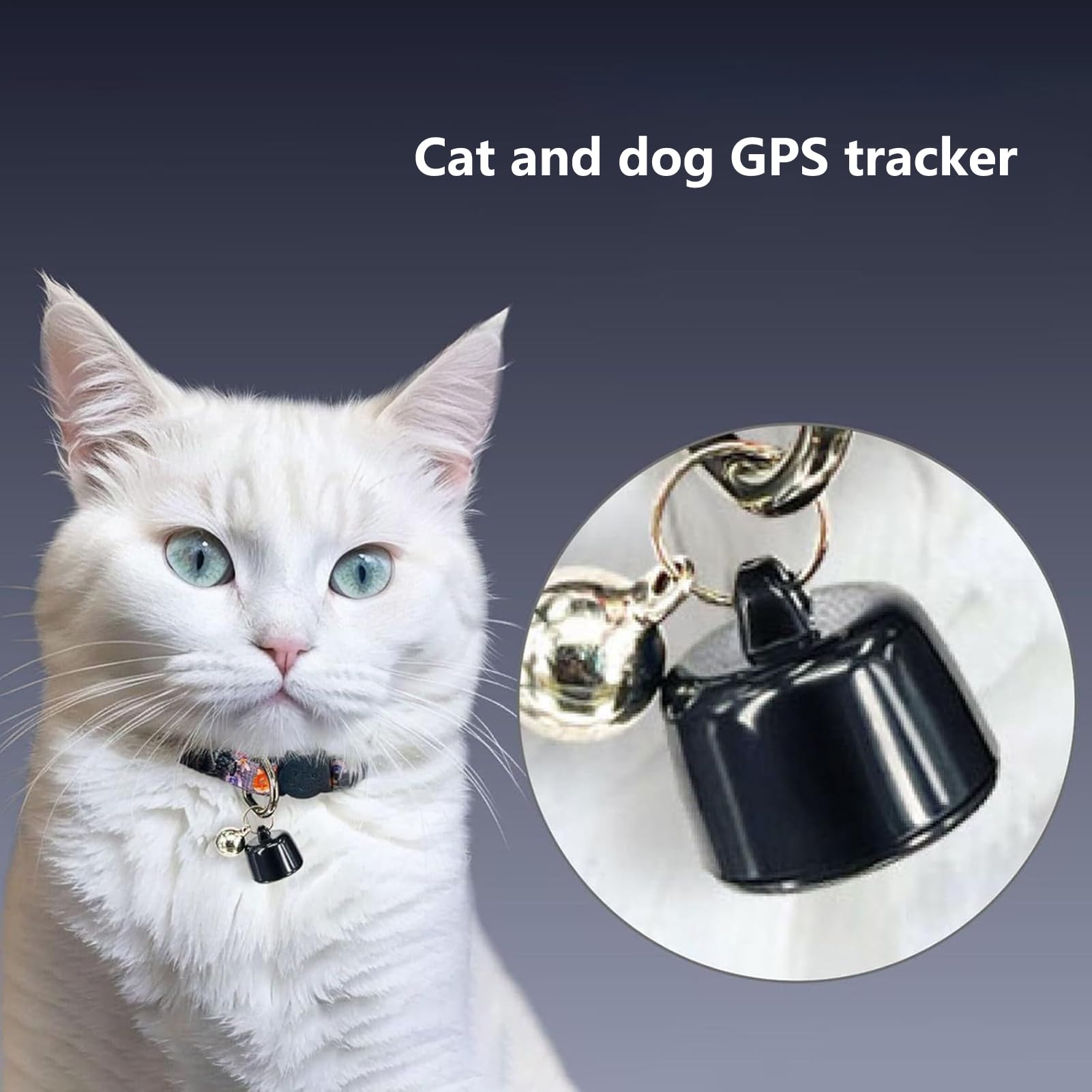 Dispositivo di localizzazione degli uccelli, dispositivo di localizzazione per cani, localizzatore di piccoli gatti, localizzatore GPS leggero a lungo raggio con copertura mondiale per animali