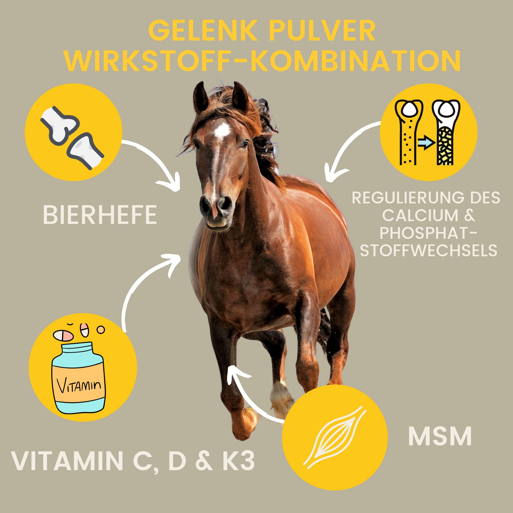 EMMA MSM proszek dla koni 3 kg – wysoka dawka organicznej siarki I MSM proszek do stawów z witaminą C D i wapniem I drożdże piwne I wsparcie dla stawów, chrząstek, ścięgien, więzadeł, kości, dla