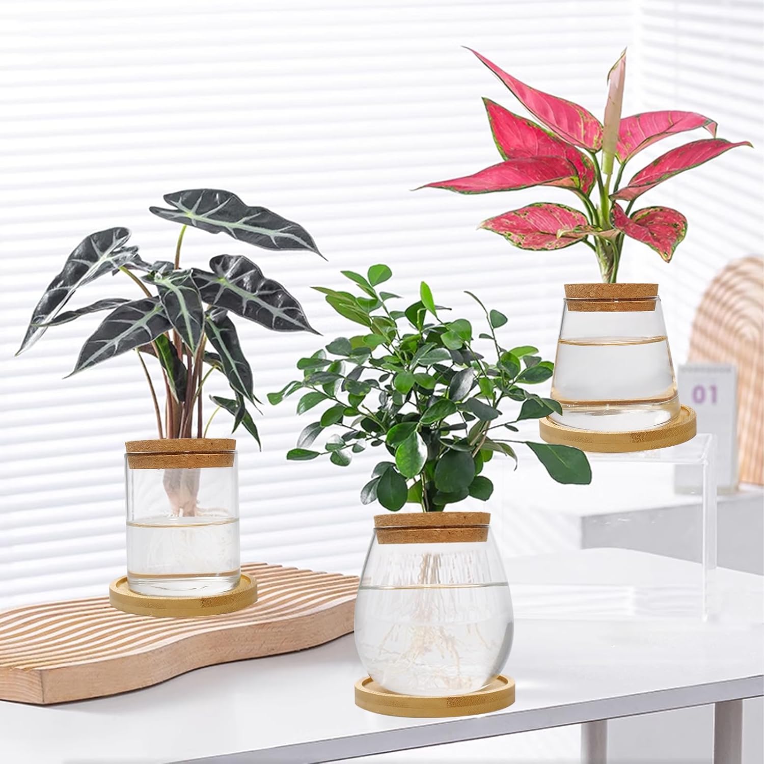8 Pcs Plants Propagation Station with Wood Lid and Stand, 4 Styles Glass Planter Propagated Jars for Indoor Home Desktop Terrarium (Classic Style)