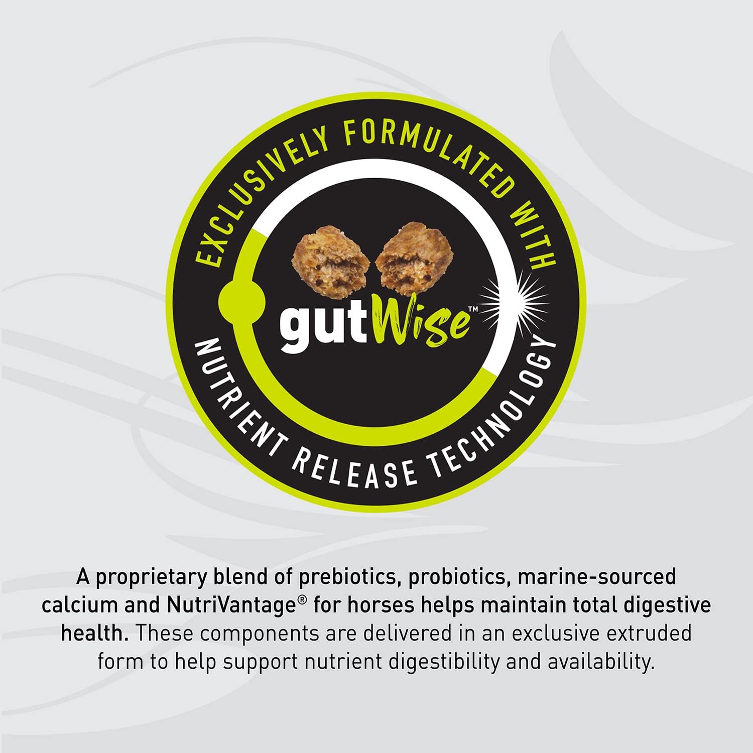 13 Best Horse Feeds For Performance Horses Top Picks Of 2023