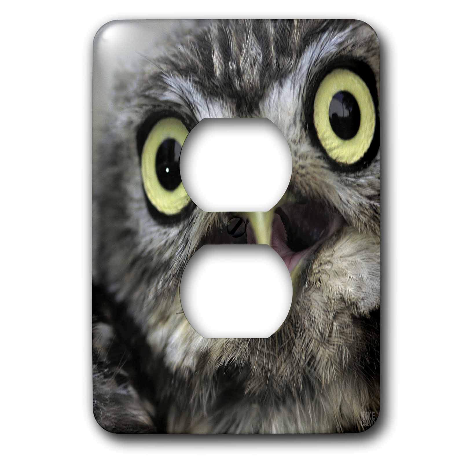 Petit hibou Athena Noctua plaque double prise pour déco salon nature