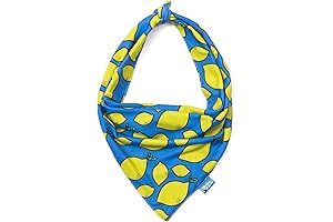  The Dodo Dog Bandana: Summertime Lemon