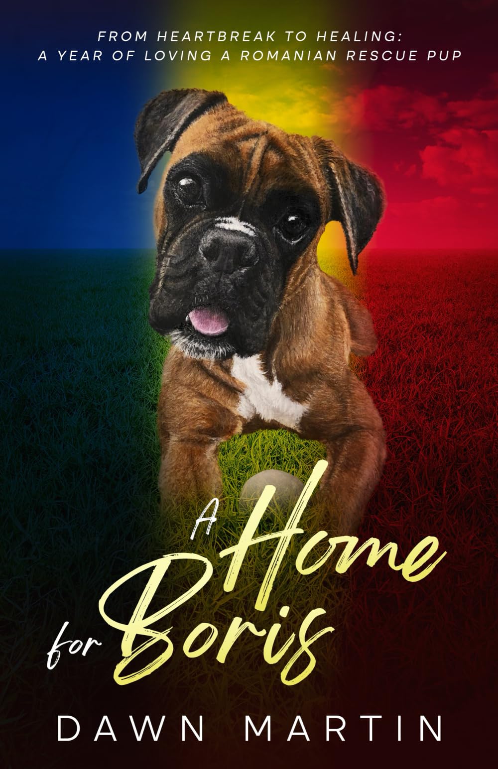 A Home For Boris: From heartbreak to healing: A year of loving a Romanian Rescue Pup