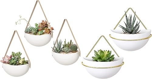 Mkono Maceta colgante de cerámica para pared, paquete de 6 macetas modernas para suculentas, hierbas, plantas de aire, interiores y exteriores, idea