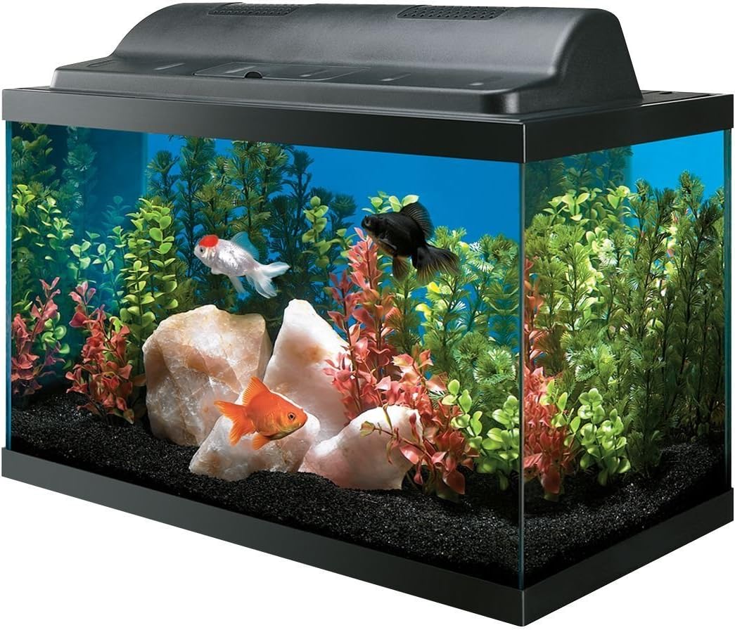 All Glass Aquarium AAG09009 Tank and Eco Hood Combo, 10-Gallon