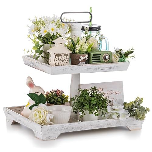 Hanobe 2 Tiered Decorative Tray Stand for Coffee Table Decor
