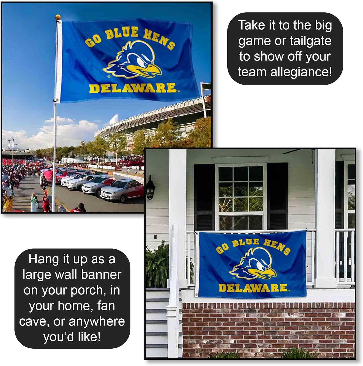 College Flags & Banners Co. Delaware Blue Hens Go Blue Hens Flag