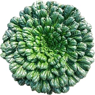 Brassia Campestris Plants Seeds 2000+ Organic Pak Choi Sweet Vegetables Easy to Grow Fresh Premium Plants Seeds for Planting Garden Decor Outdoor Salad Hamburg