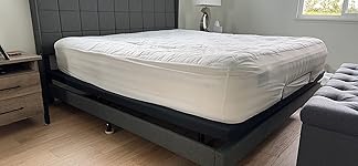 Review Image by FP FP