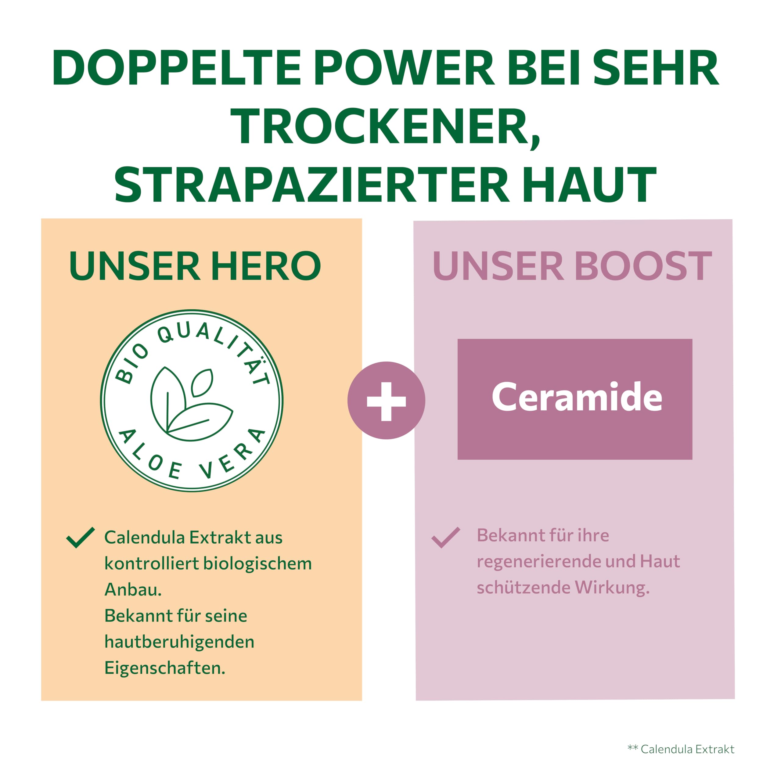 alkmene Crema regeneradora de caléndula para piel seca y dañada, 6 unidades, 200 ml, vegana que alivia el picor, crema corporal muy seca