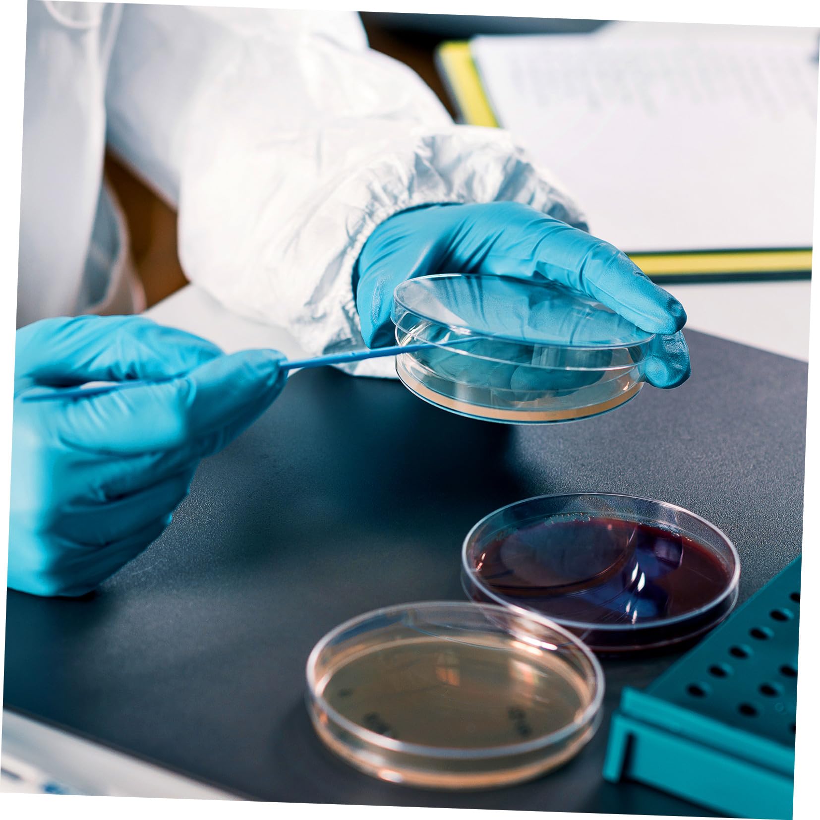 Piastre Petri con Agar 7cm, 10 Pezzi, per Coltura Microbiologica | Pronte All’uso, Strato Spesso di Agar, per Esperimenti Scientifici Stem, Decorazioni Scuola
