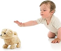 Vista 2 de Daron Pugs at Play Goldie Walking Dog (PAP05)